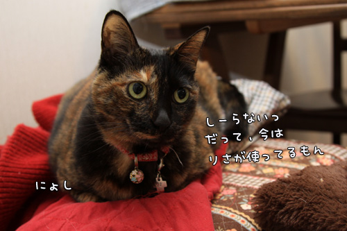 赤いちゃんちゃんこ_d0355333_14553614.jpg