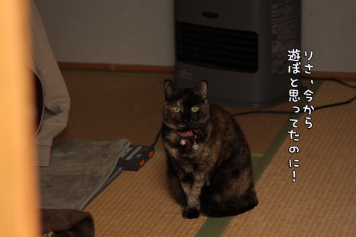 お掃除の虫は突然に。_d0355333_14553685.jpg