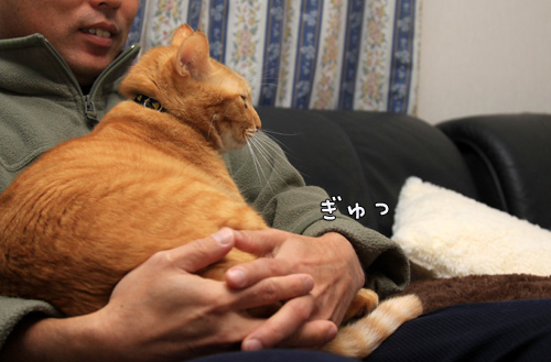 疲れたお父さんには_d0355333_14553726.jpg