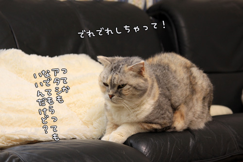 お客さんがやってきた_d0355333_14553826.jpg