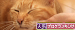 お客さんがやってきた_d0355333_14553915.jpg