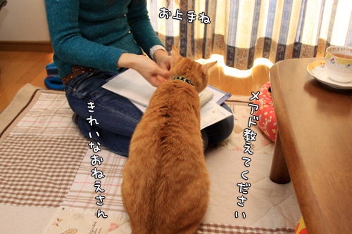 お客さんがやってきた_d0355333_14553919.jpg