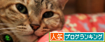 気にした方がいいこと_d0355333_14554213.jpg