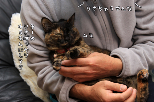 またもやゲロリストに_d0355333_14554386.jpg