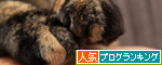 またもやゲロリストに_d0355333_14554480.jpg