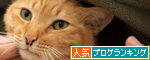 甘えん坊ちゃとらん_d0355333_14554735.jpg