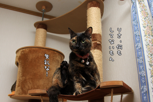 負けるな~!_d0355333_14561028.jpg