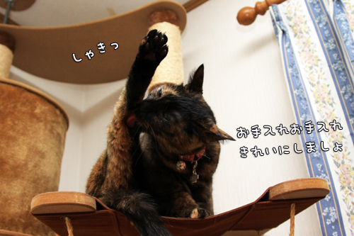 負けるな~!_d0355333_14561040.jpg