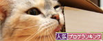 素早いフットワーク。_d0355333_14563350.jpg