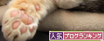 戦火の馬。_d0355333_14563445.jpg