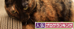 新しい爪とぎ&供血のお願い!_d0355333_14563612.jpg