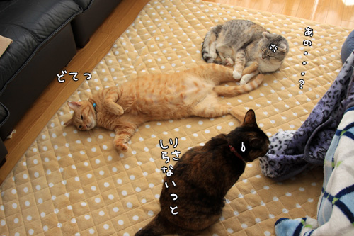 クラスに一人はいたタイプの男。_d0355333_14563829.jpg