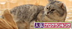 クラスに一人はいたタイプの男。_d0355333_14563831.jpg