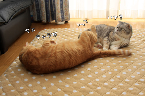 クラスに一人はいたタイプの男。_d0355333_14563852.jpg