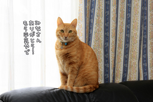 大丈夫だよー!_d0355333_14564123.jpg