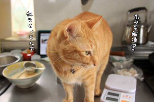 大丈夫だよー!_d0355333_14564143.jpg