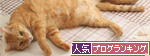 嬉しい近況報告_d0355333_14564158.jpg