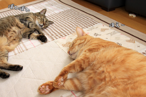どんな時も楽しむココロ。_d0355333_14564711.jpg