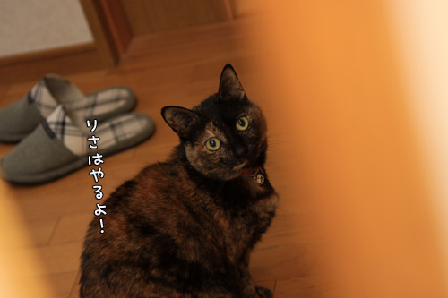 どんな時も楽しむココロ。_d0355333_14564819.jpg