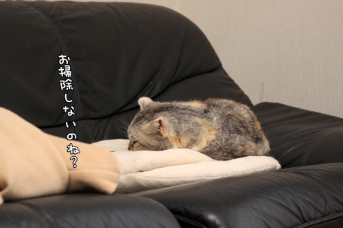 どんな時も楽しむココロ。_d0355333_14564955.jpg