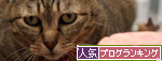 どんな時も楽しむココロ。_d0355333_14564971.jpg