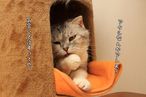 ほ~~っ・・・!_d0355333_14565200.jpg