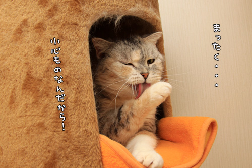 ほ~~っ・・・!_d0355333_14565216.jpg