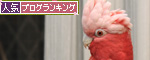 りさは平気?_d0355333_14565381.jpg