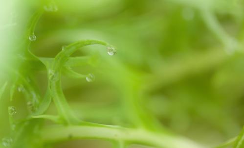 りさは平気?_d0355333_14565669.jpg