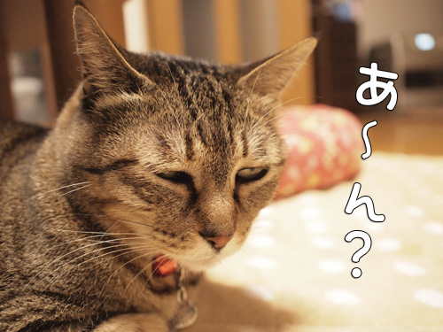 加工で遊ぶ?_d0355333_14565898.jpg
