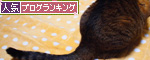 加工で遊ぶ?_d0355333_14565985.jpg