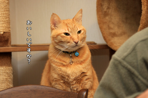 痛い視線。_d0355333_14570006.jpg