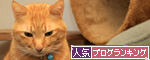 痛い視線。_d0355333_14570121.jpg