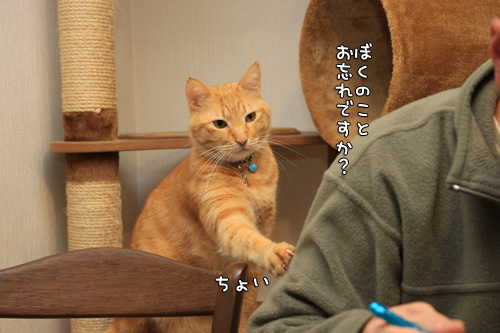 痛い視線。_d0355333_14570125.jpg