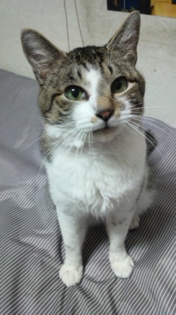 痛い視線。_d0355333_14570161.jpg