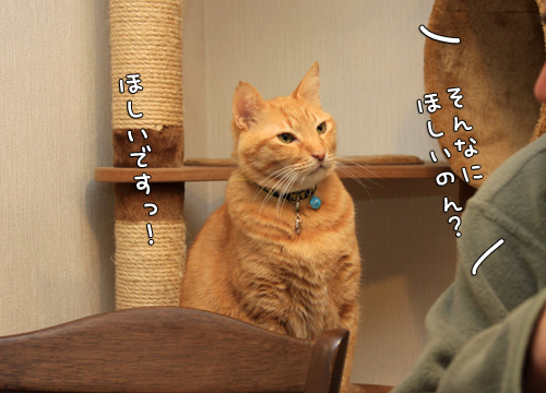 得したのは誰?_d0355333_14570214.jpg