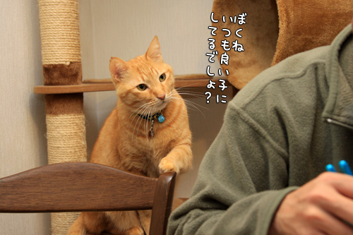 得したのは誰?_d0355333_14570281.jpg