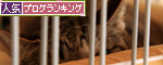 にゃんず天国黒豆家へ。_d0355333_14570541.jpg