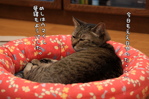 そのココロは?_d0355333_14570999.jpg
