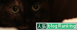 そのココロは?_d0355333_14571078.jpg