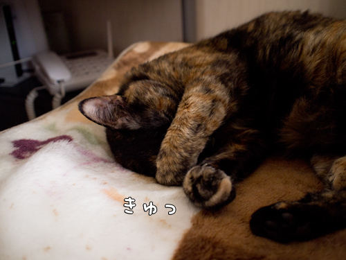 見られたくないの?_d0355333_14571223.jpg