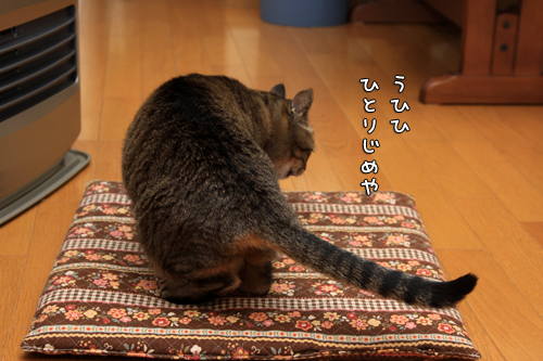 ファンヒーターいつまで?_d0355333_14571489.jpg