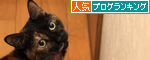 トイレへ誘う猫。_d0355333_14571676.jpg