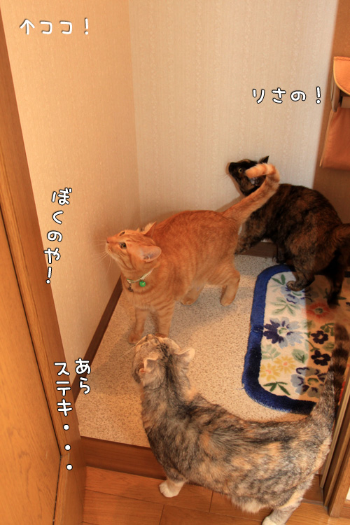 トイレの窓には・・・_d0355333_14571799.jpg