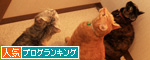 トイレの窓には・・・_d0355333_14571822.jpg