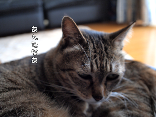 久々の変顔!_d0355333_14572285.jpg