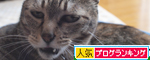 爆弾低気圧の日は_d0355333_14572320.jpg