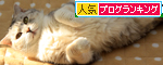 頑張らないこと_d0355333_14572801.jpg