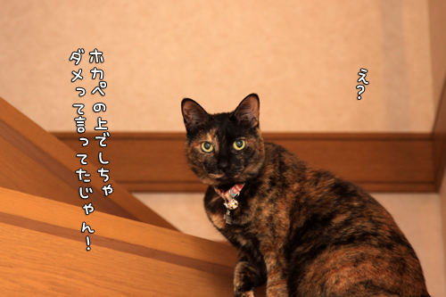 ゲロリストの逆襲_d0355333_14573094.jpg