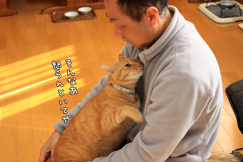 ちゃとら伝説_d0355333_14573412.jpg